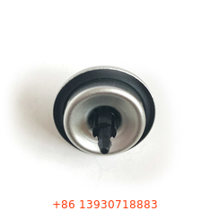 Plastik/Metal Köklü ve Aşağı Dimples Montaj Kupasıyla Evrensel Butane Hafif Gaz Doldurma Valfı