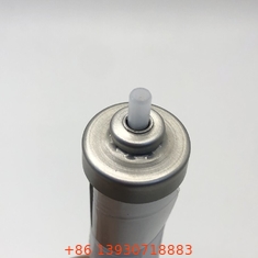 Güvenli ve hijyenik gıda ambalajları için Silver Standard Aerosol Bag On Valve