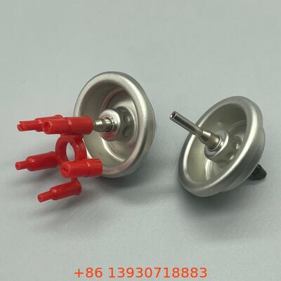 1 Inch Butane Gaz Doldurma Valvu