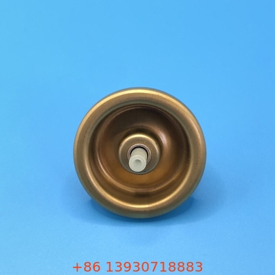 Seyahat Dostu Saç Mousse Spray Valve Styling on the Go