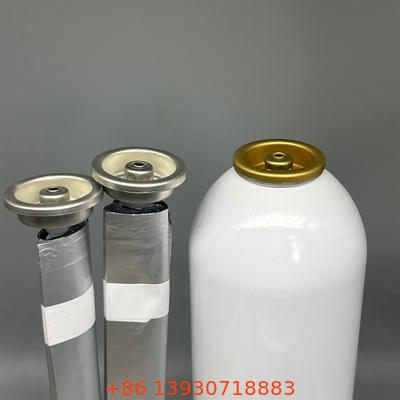 Aerosol Ürünleri İçin Sabit Kadın Çantası