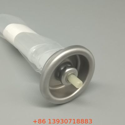 Gıda ve Kozmetik Aerosol Spreyler İçin Yenilikçi Torbada Valf Sistemi