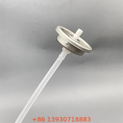 Endüstriyel ve Otomobil Uygulamaları için Korozyona Direnmez Zehirli Çok Kullanımlı Karbüratör Temizleyici Valf