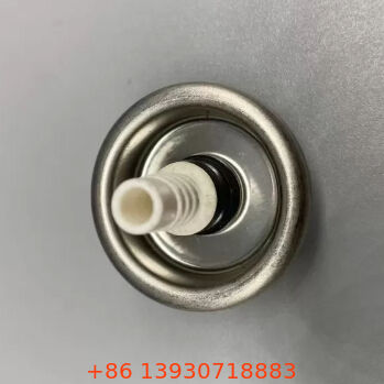 Basınçlı Dağıtım İçin Uzatılmış Daldırma Tüplü 1 İnç Yüksek Basınçlı PU Köpük Aerosol Valfi