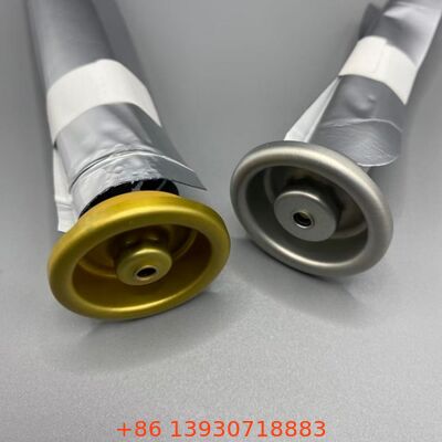 Oksijen duyarlı ürünler ve uzatılmış raf ömrü için valf üzerindeki kadın çantası