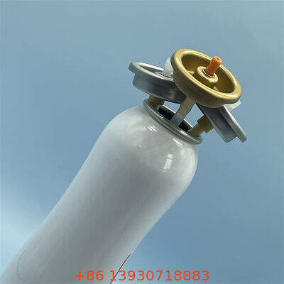 Sürekli ve Etkili Koku Koruması İçin Mühendislik Deodorant Sprey Valfi