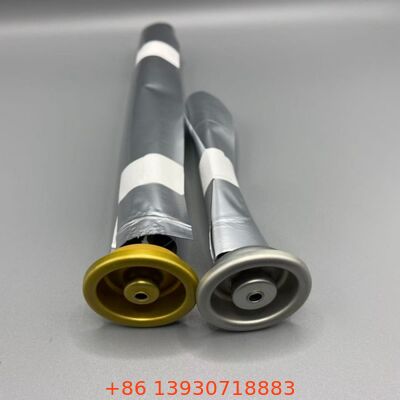 Oksijen duyarlı ürünler ve uzatılmış raf ömrü için valf üzerindeki kadın çantası